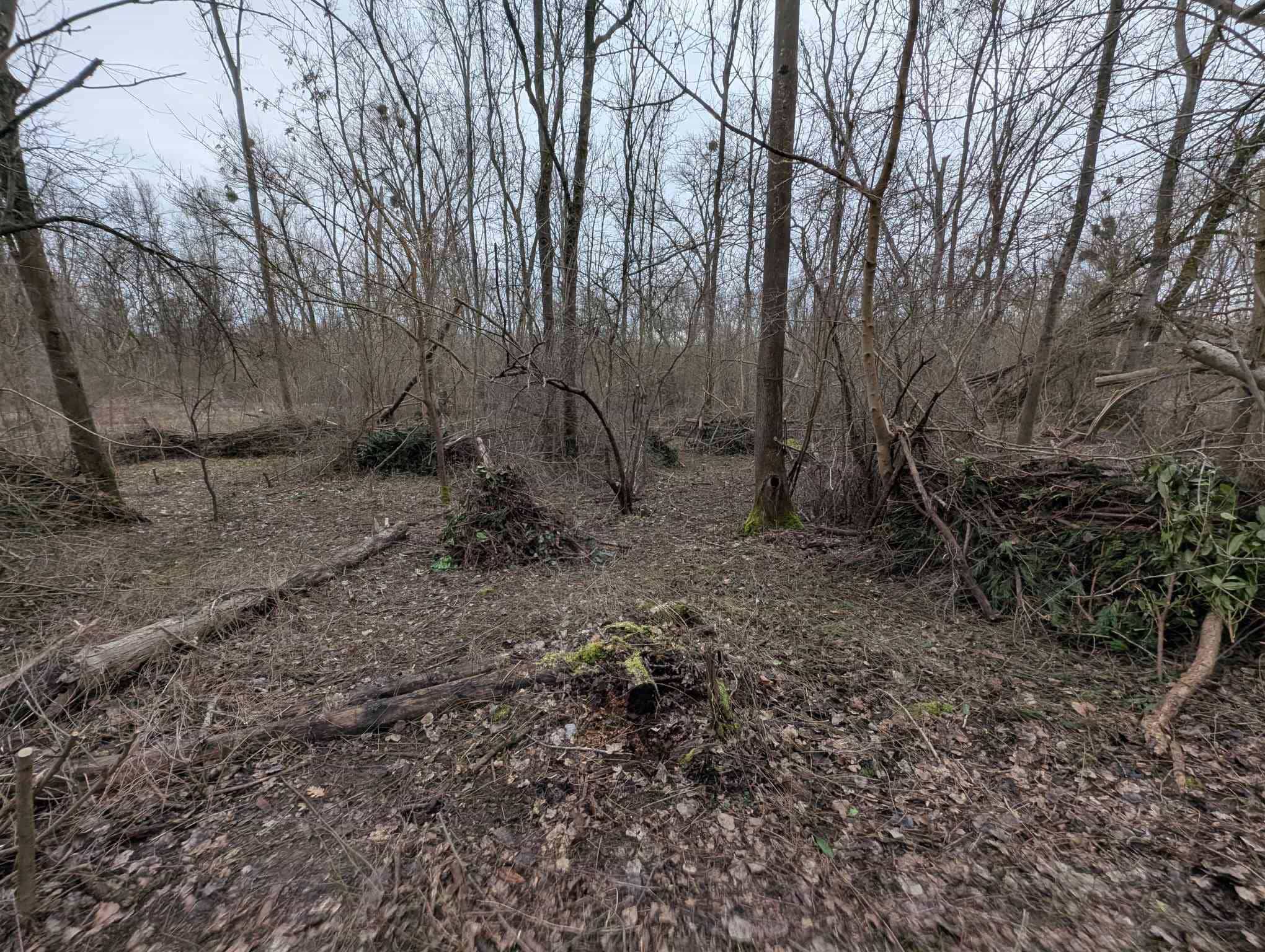 terrain-airsoft-reyrieux-01.jpg