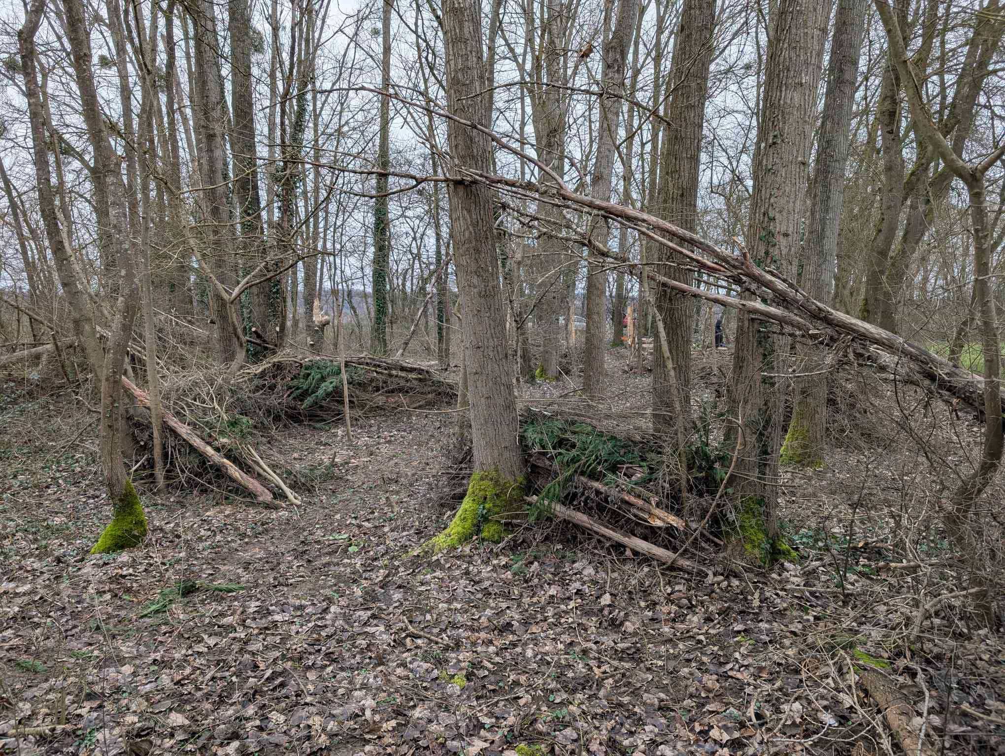 terrain-airsoft-reyrieux-02.jpg